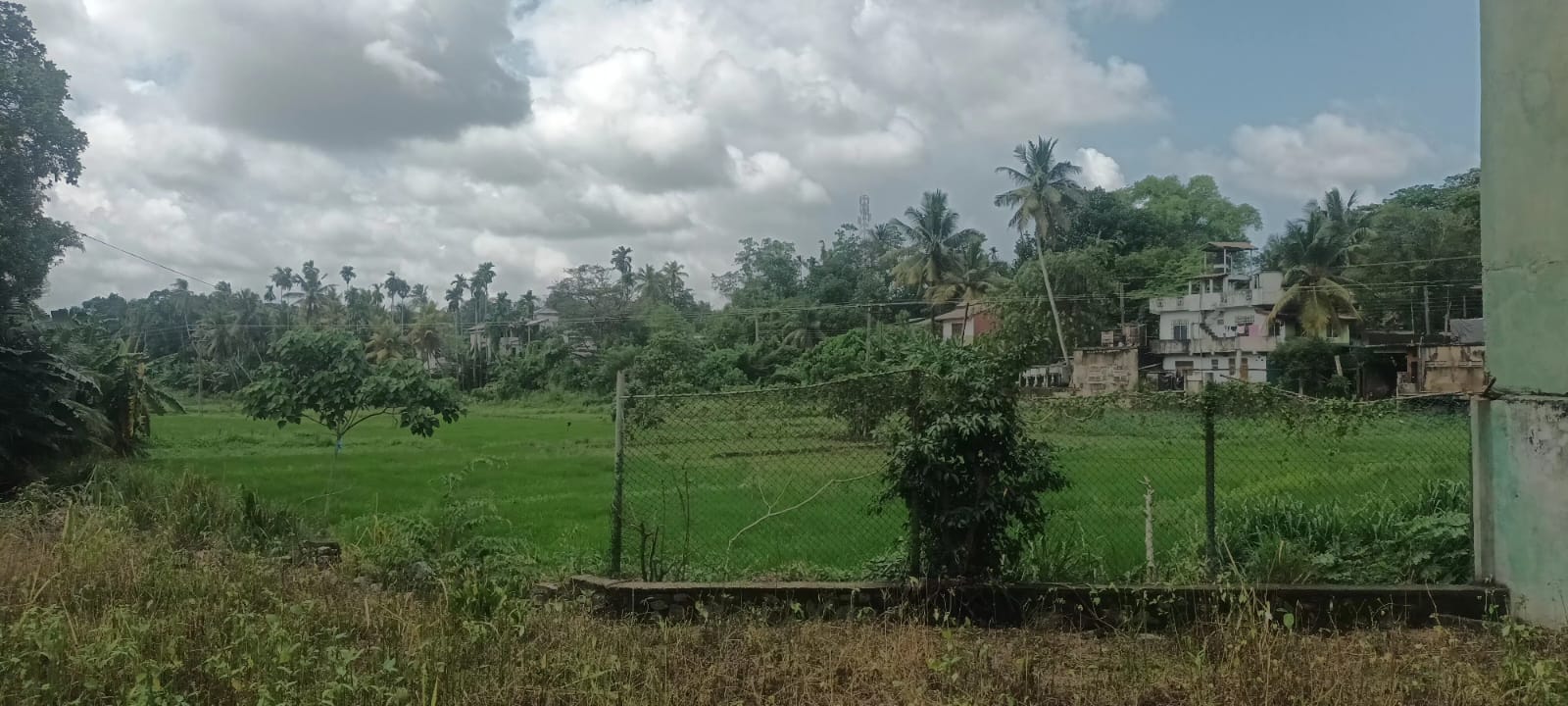IMG-20260603-WA0019